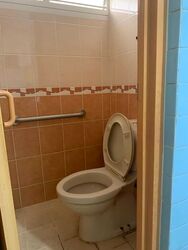 Blk 9 Holland Avenue (Queenstown), HDB 3 Rooms #581982411